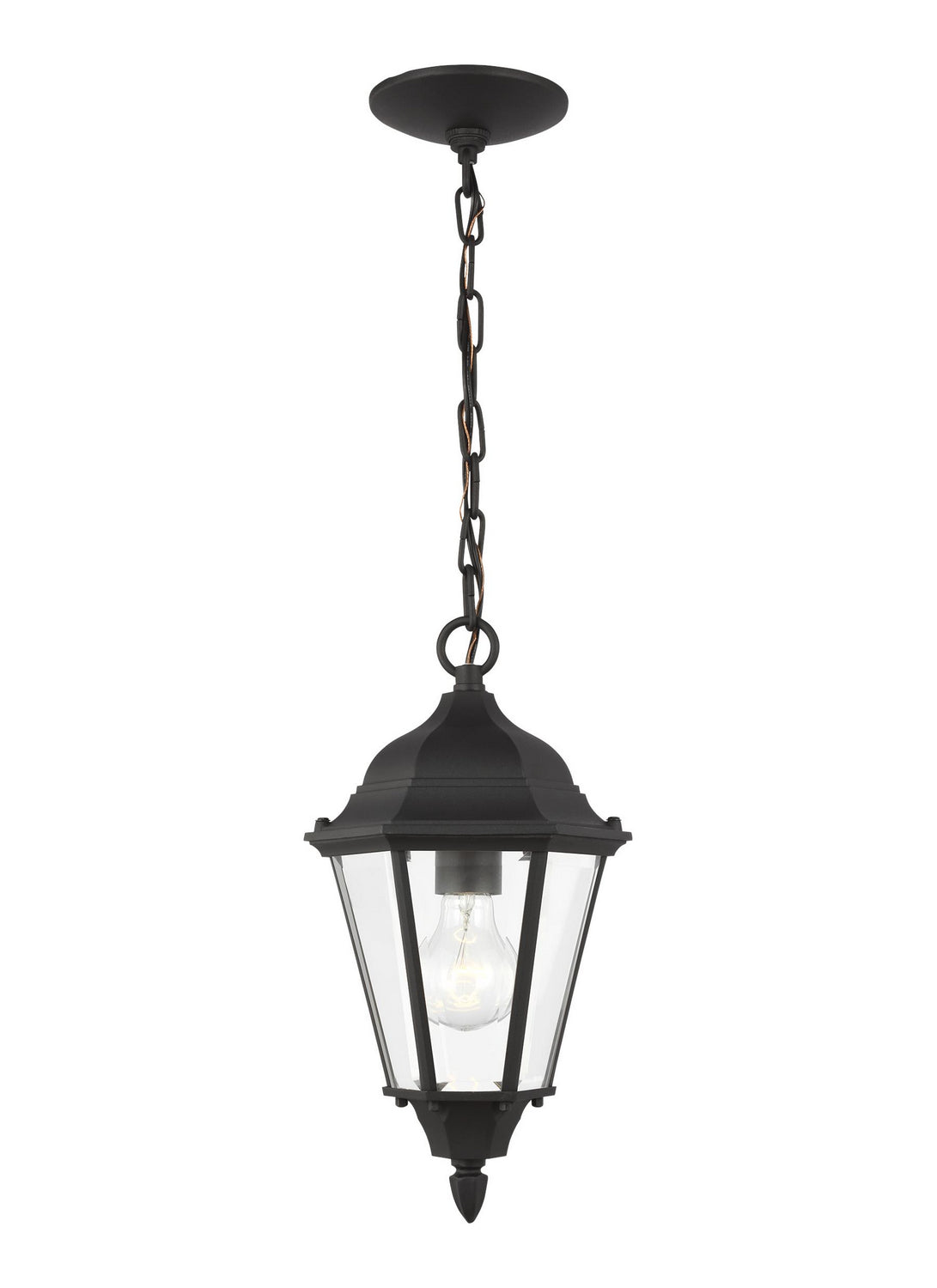 Bakersville Flat 14.5" Hanging Lantern — Clear Beveled