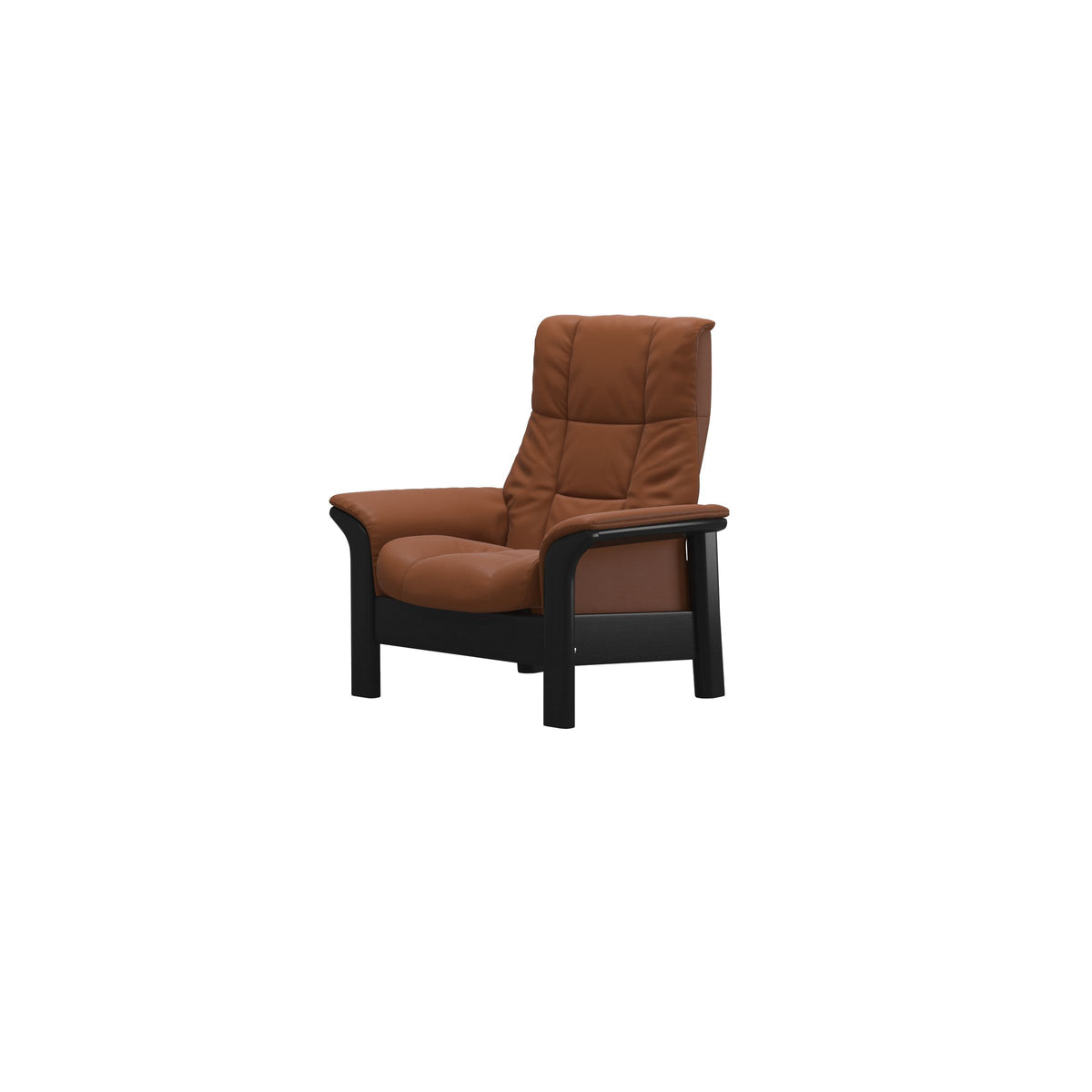 Windsor - Paloma New Cognac - Black
