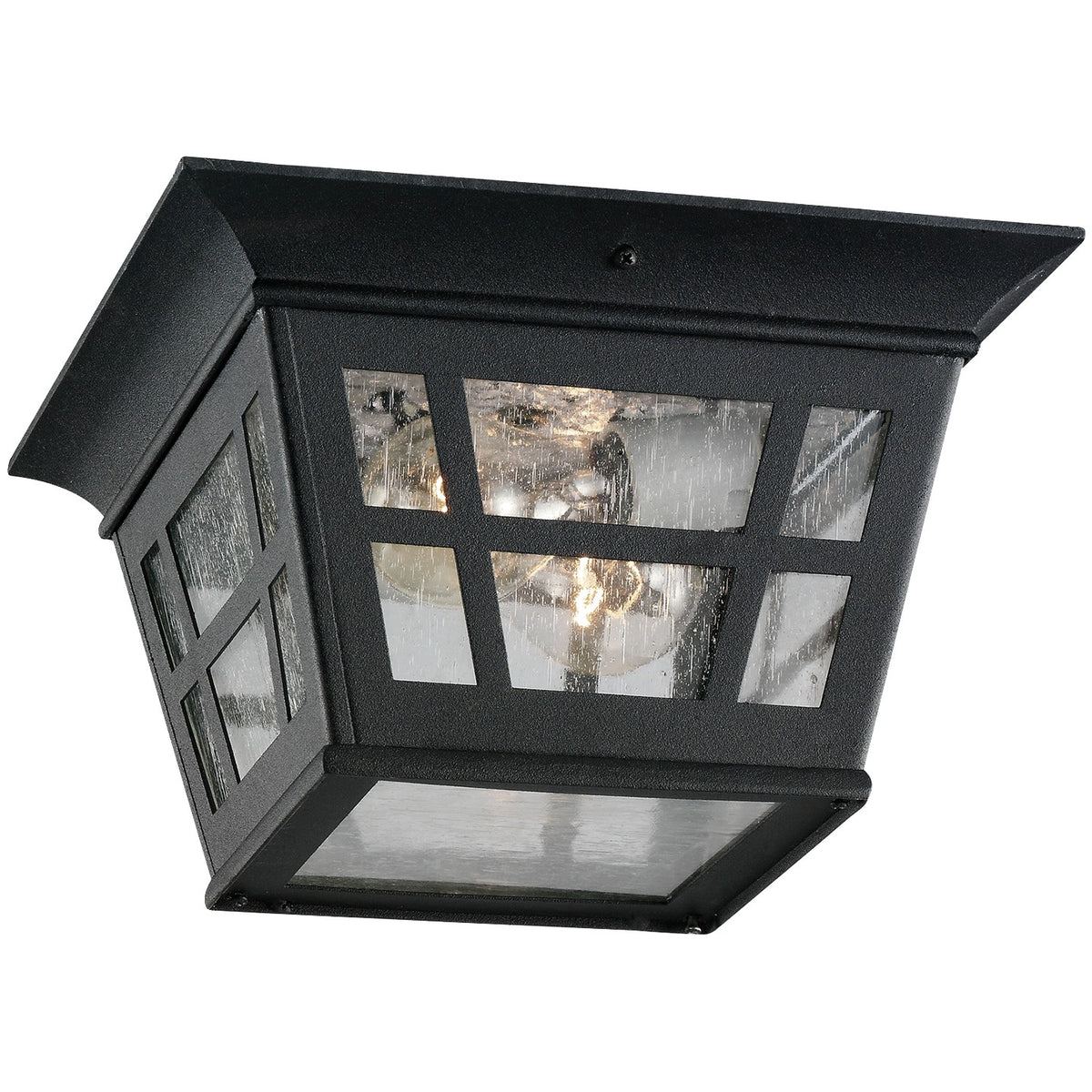 Herrington Two Light Flush Mount — Clear Seeded