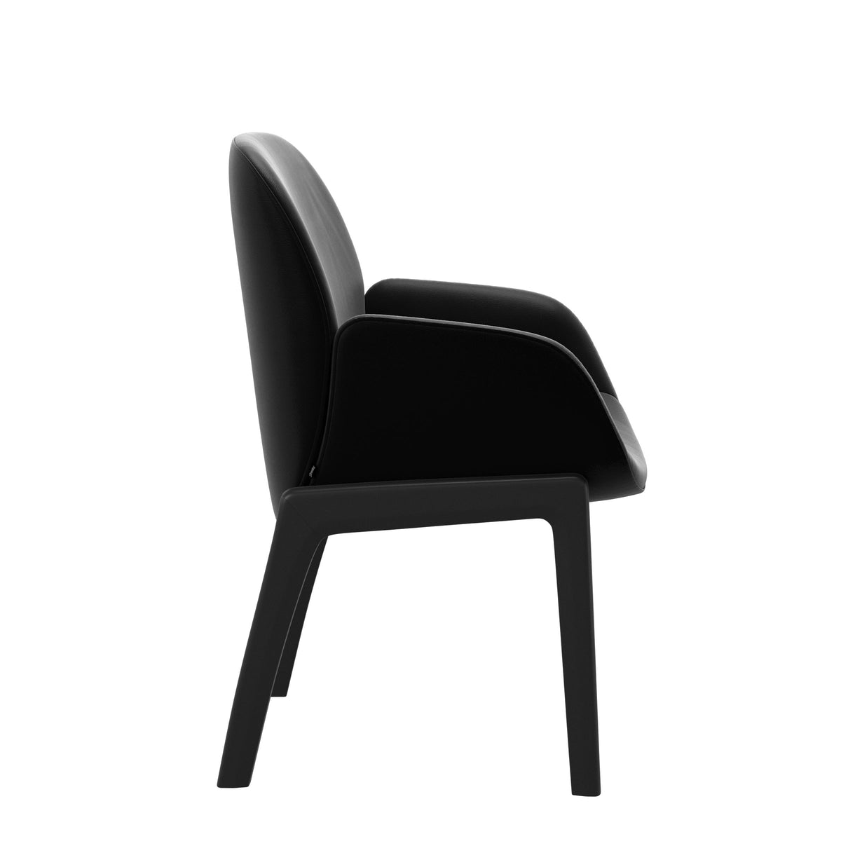 Bay Low Back Dining Chair - Paloma Black - Black - Armchair