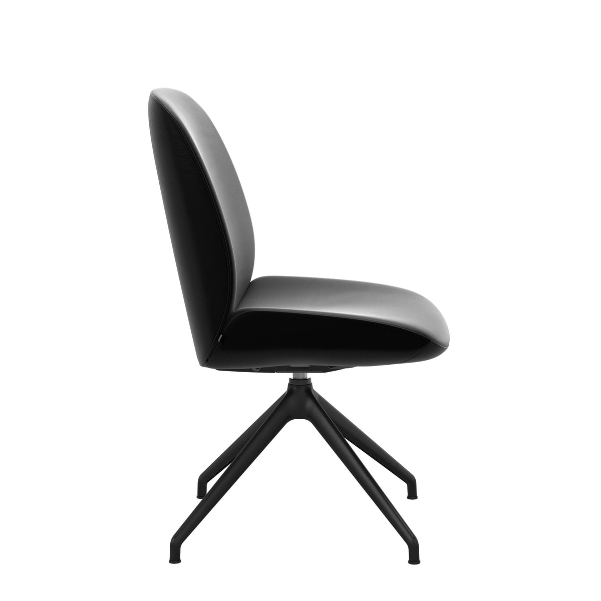Bay Low Back Dining Chair - Paloma Black - Matte Black - Armless