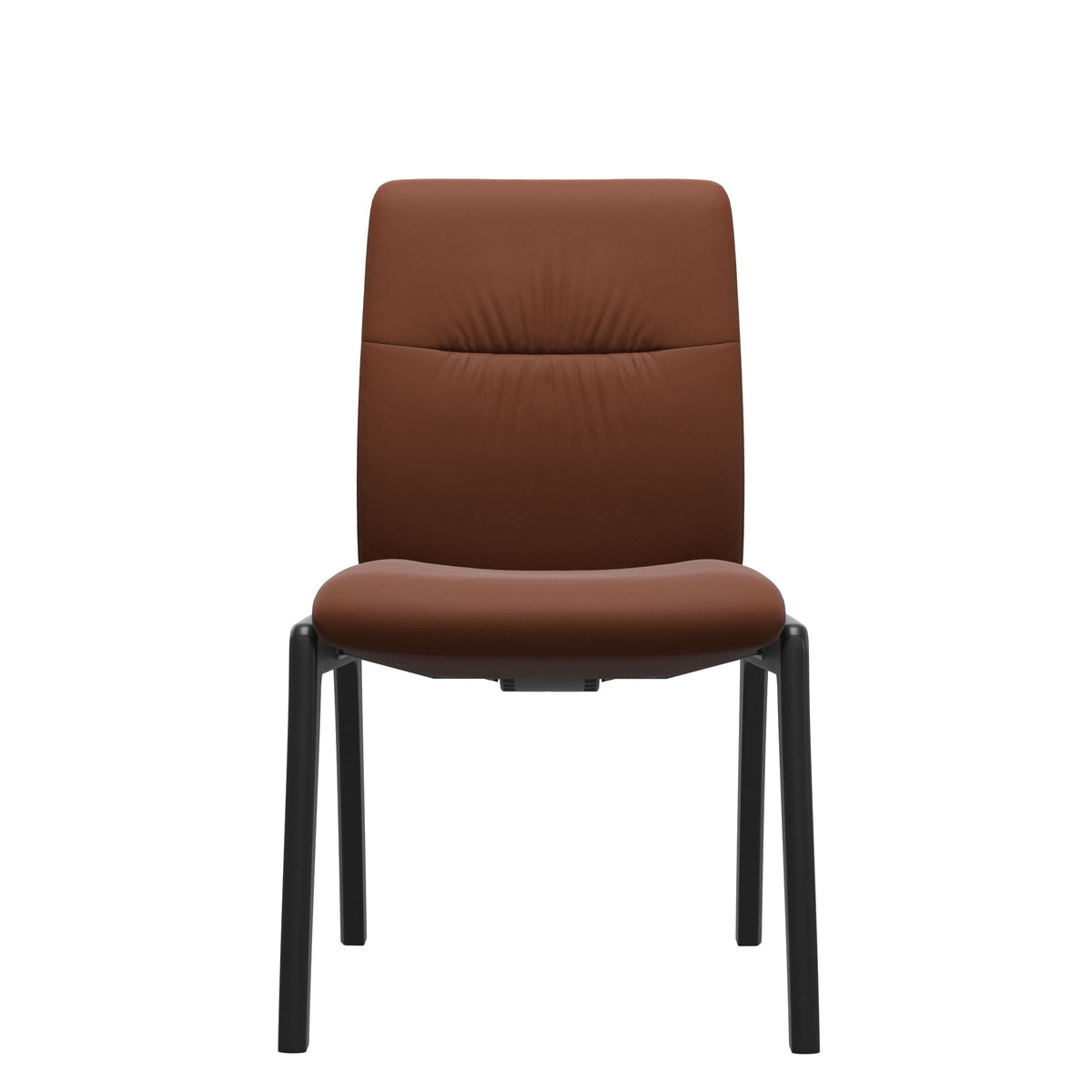Mint Low Back Dining Chair - Paloma Copper - Black - Armless