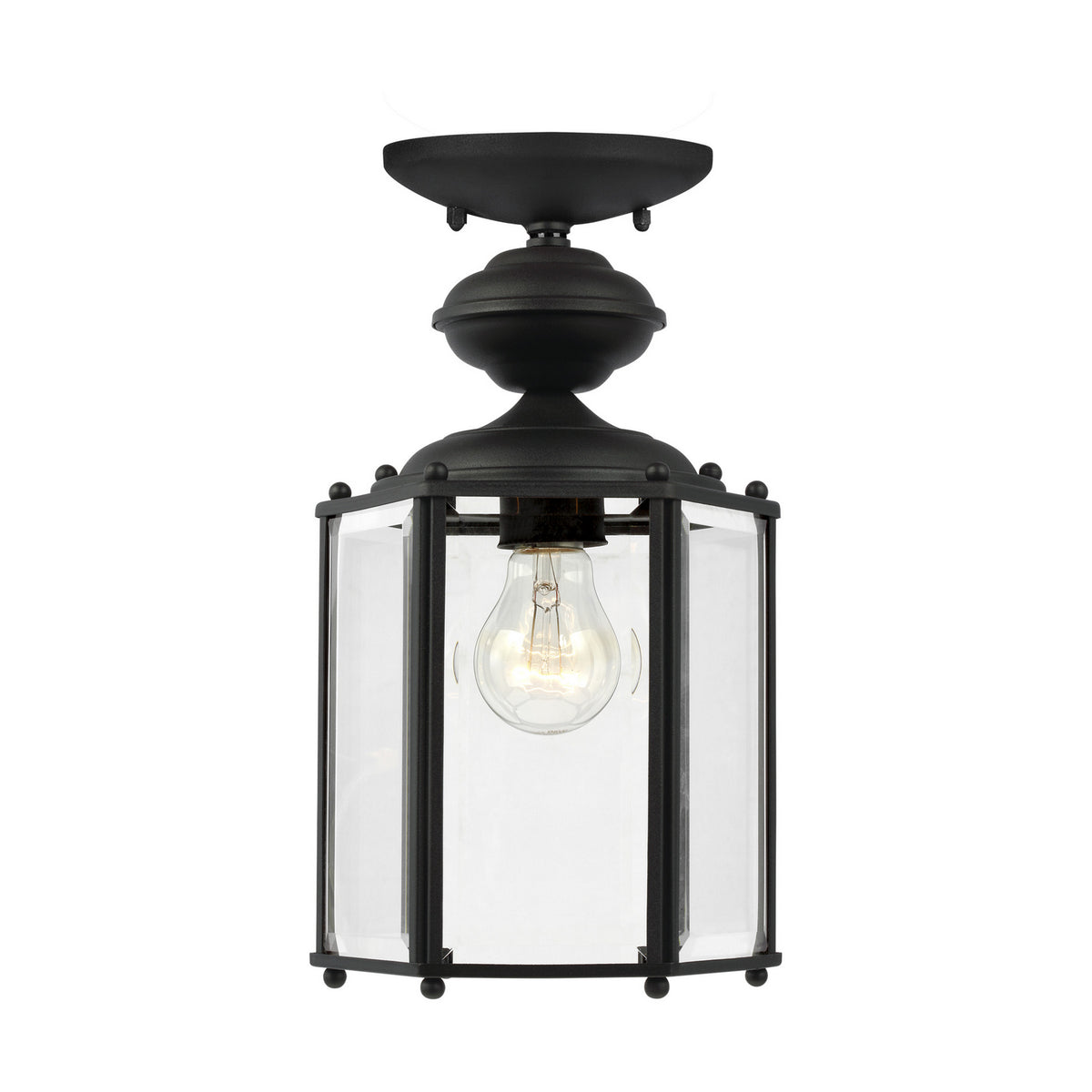 One Light Outdoor Semi-Flush Convertible Pendant