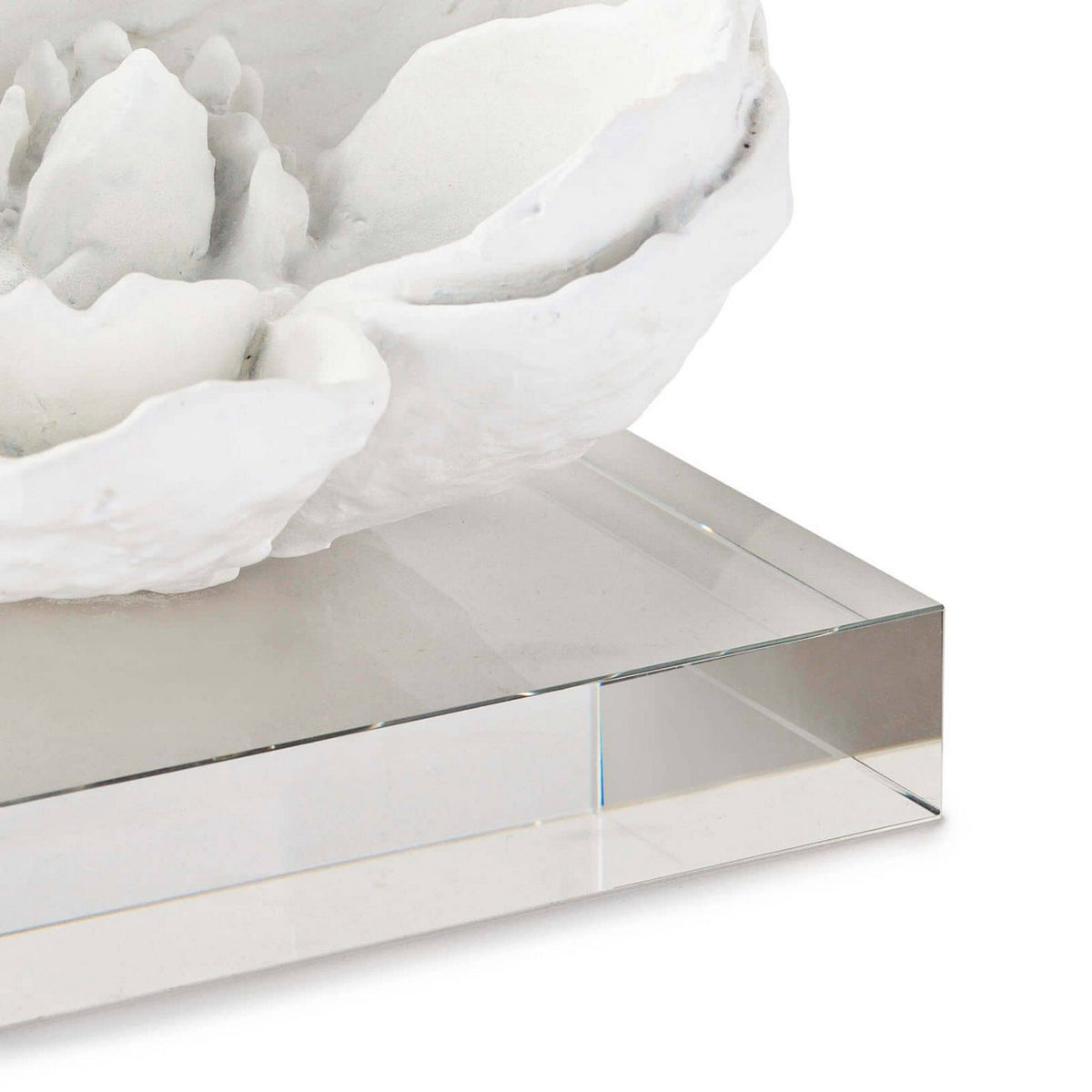 Magnolia Objet