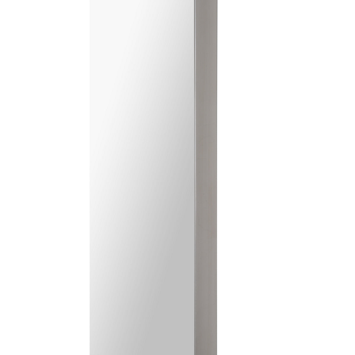 Delphinus Mirror