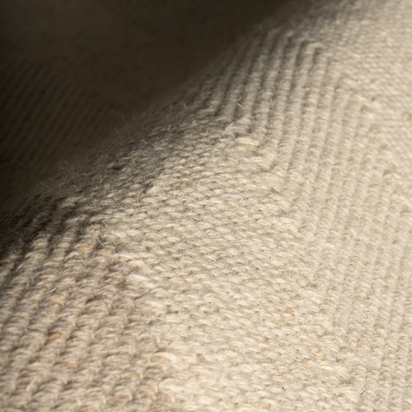 Nate Berkus Canon Bordered Wool Cozy Area Rug