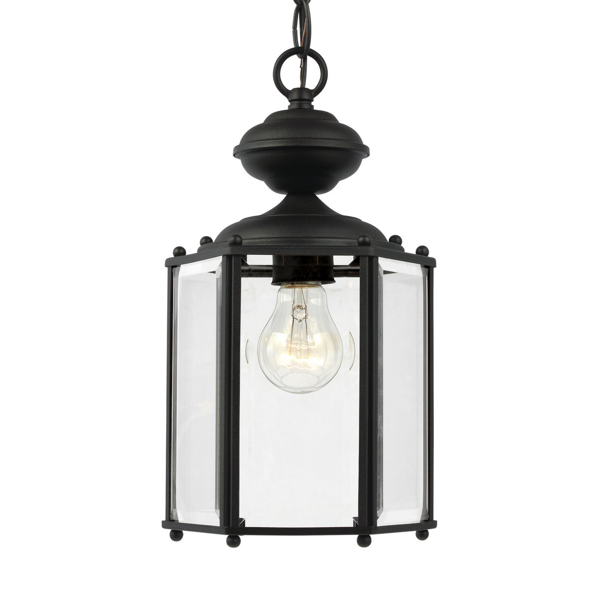 One Light Outdoor Semi-Flush Convertible Pendant