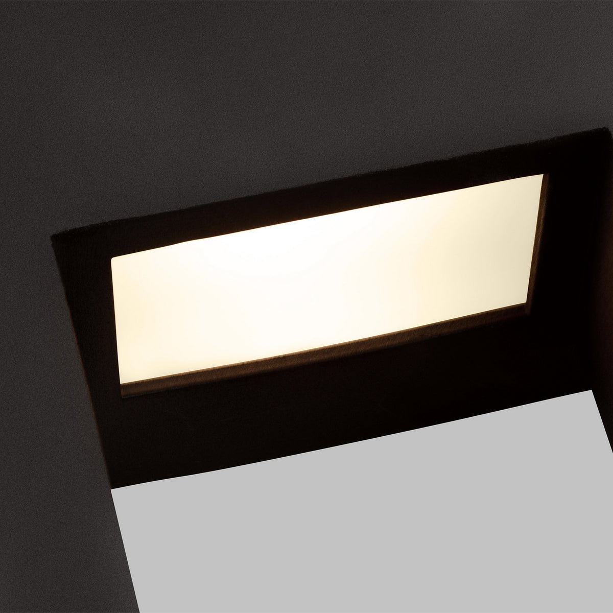 Testa Medium Wall Lantern