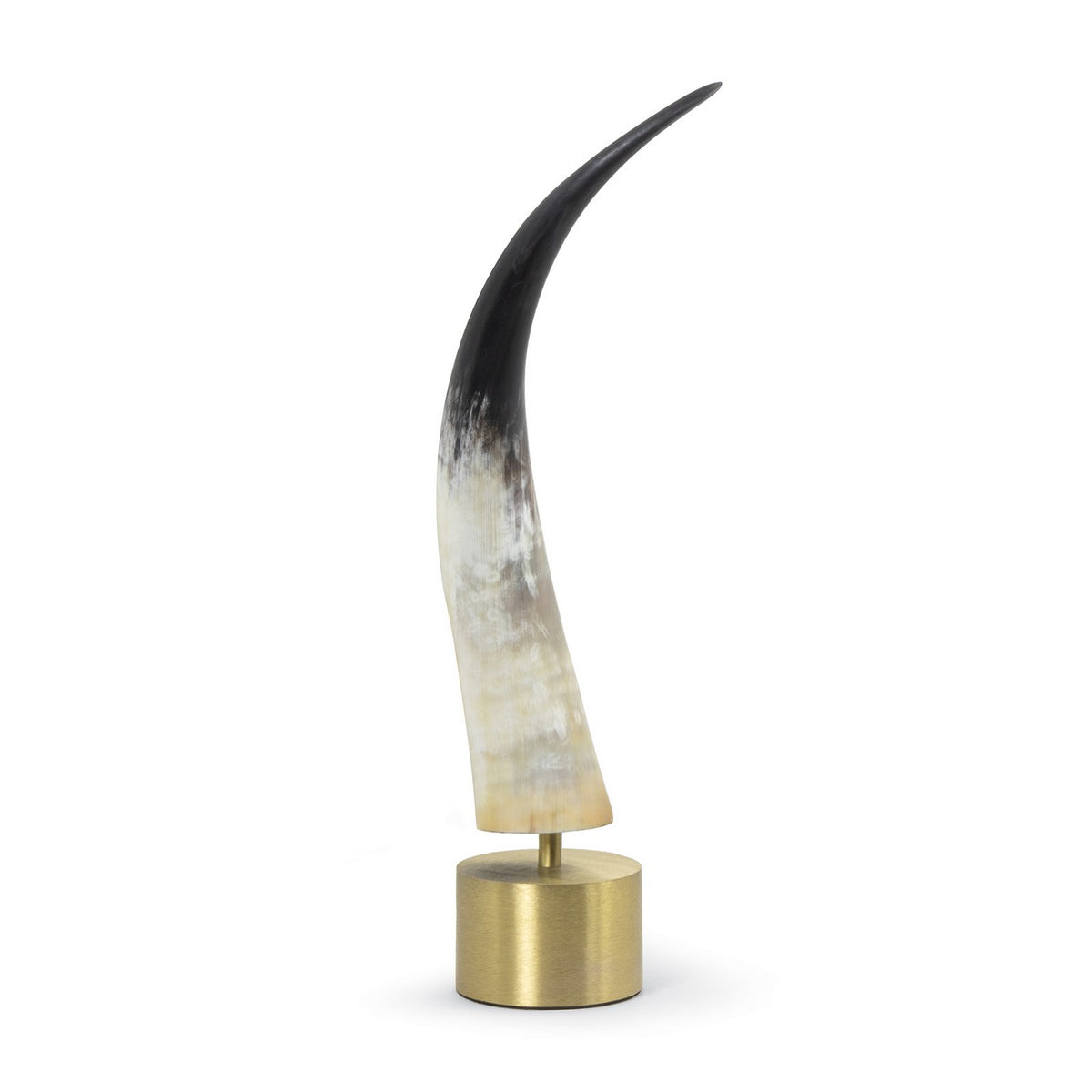 Daylon Horn — 20.00"