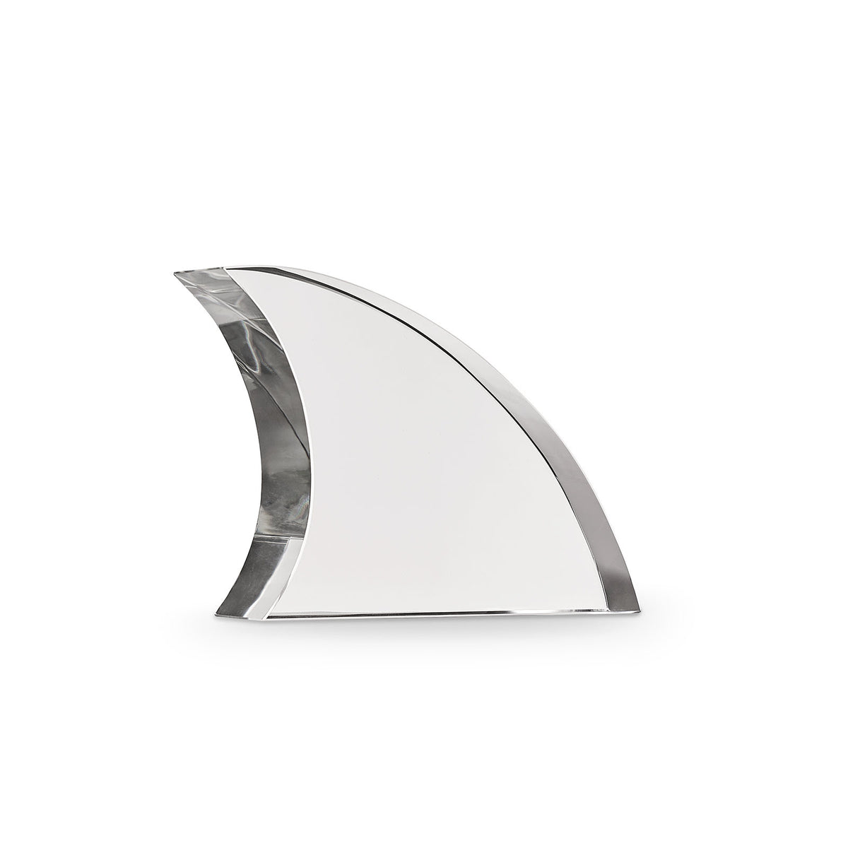 Fin Accessory