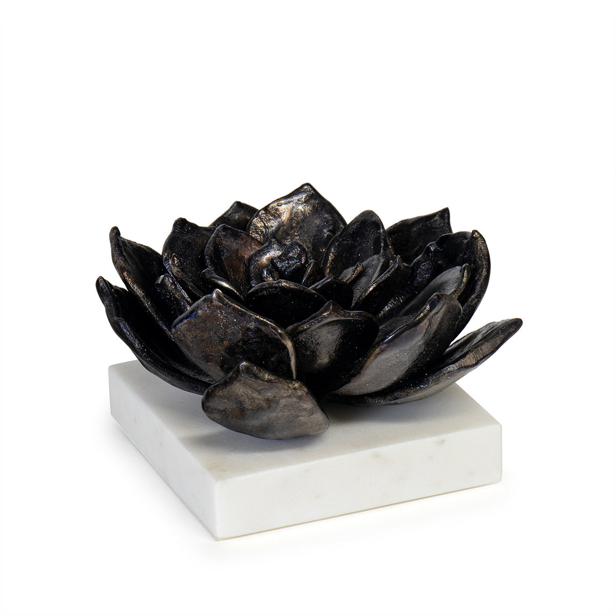 Succulent Sculpture — 4.25"