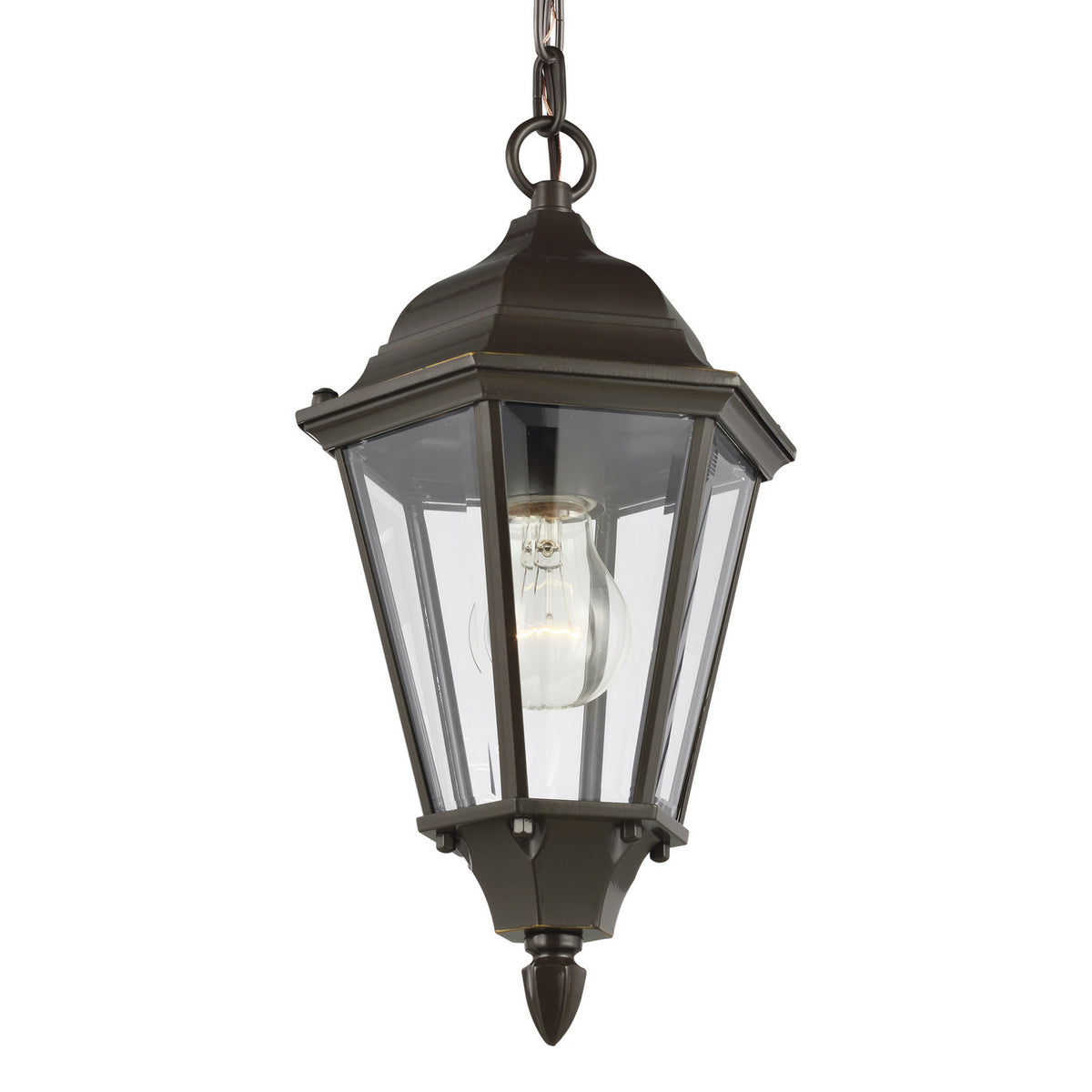 Bakersville Flat 14.5" Hanging Lantern — Clear Beveled