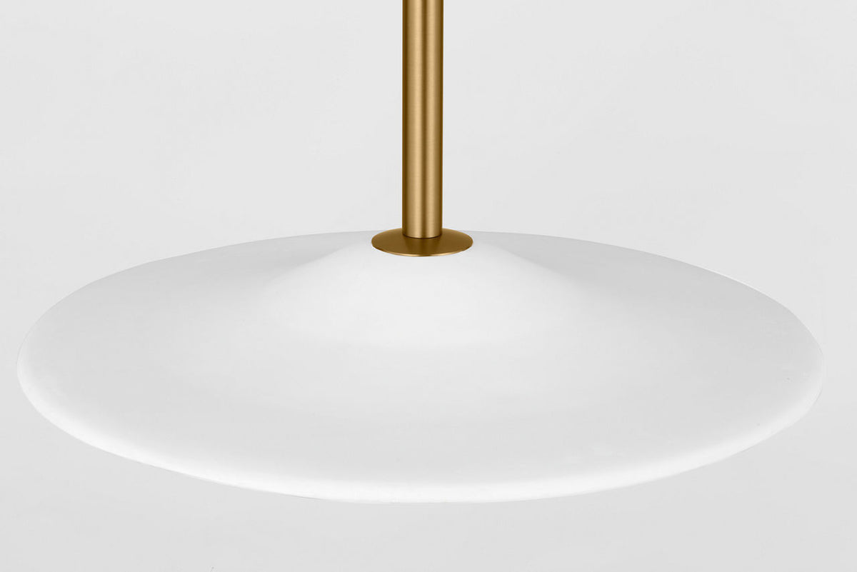 Endicott 24 Pendant