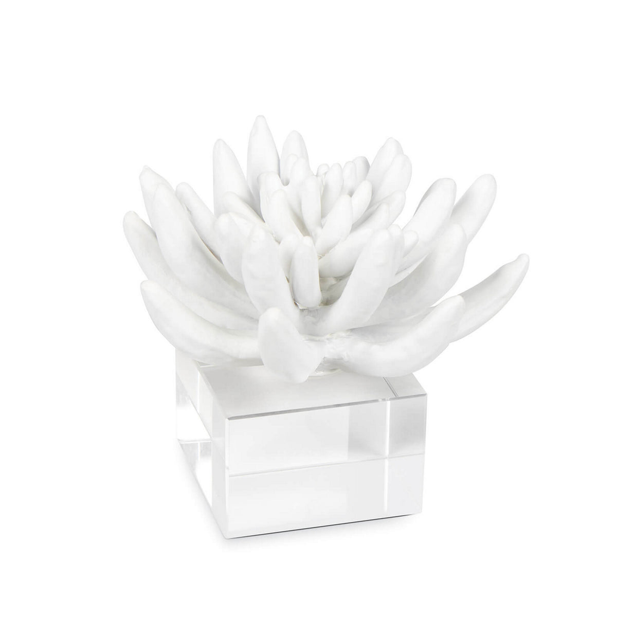 Succulent Sculpture — 5.00"