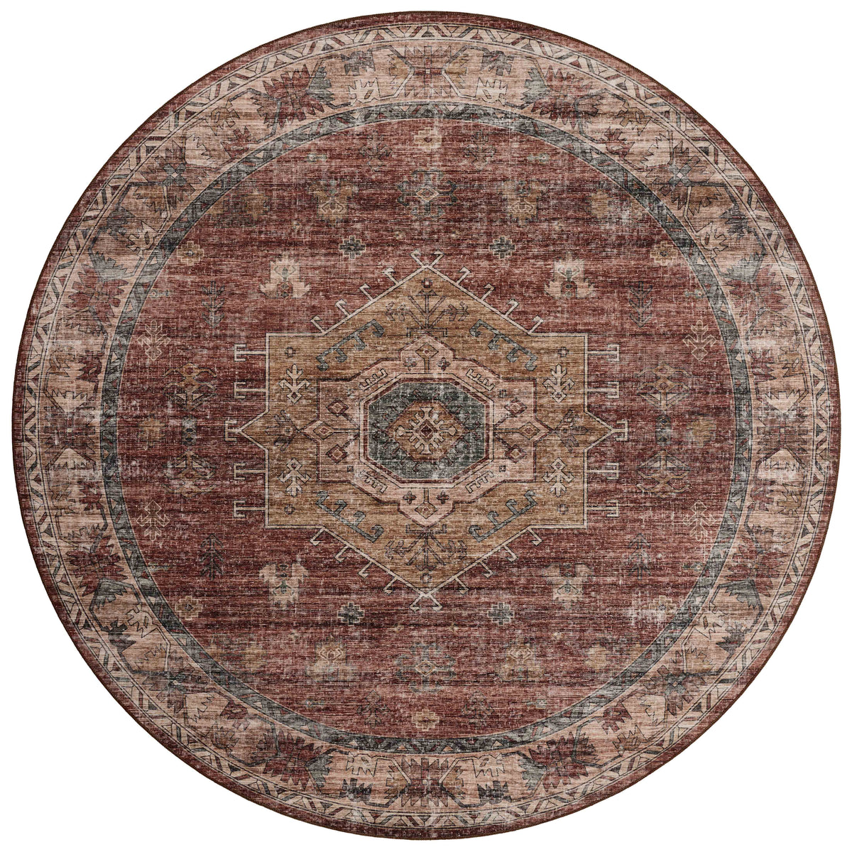 Anniston Rug 04