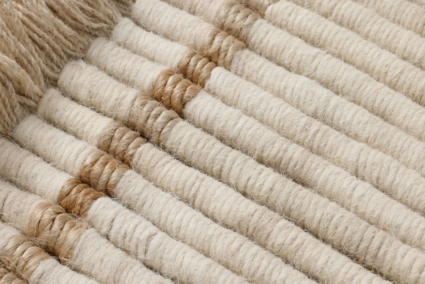 All Coiled Up Wall Art