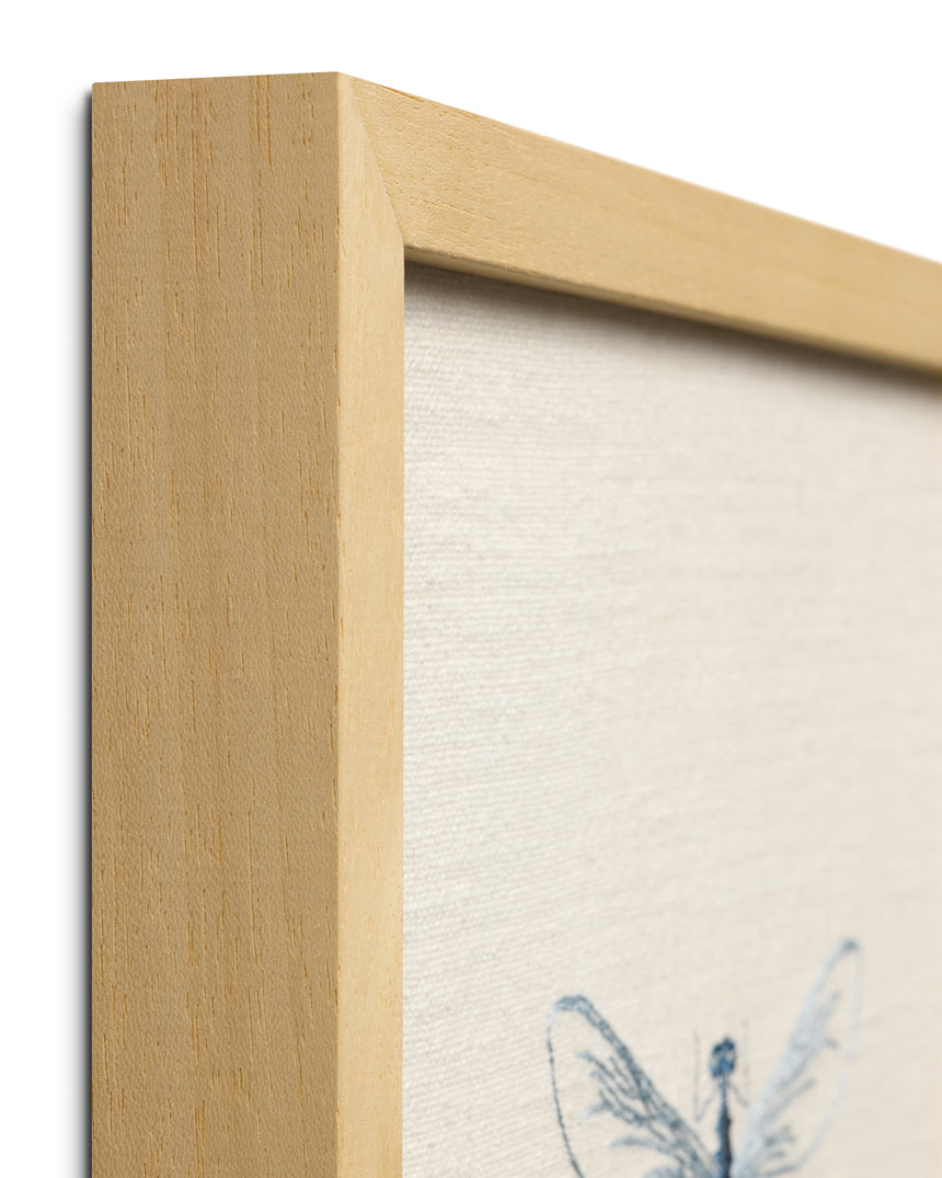 Dragonfly Blue Wall Art