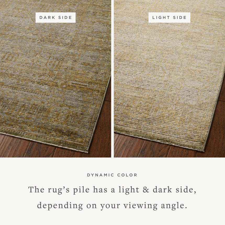 Bradbury Rug 02 | Dove / Gold