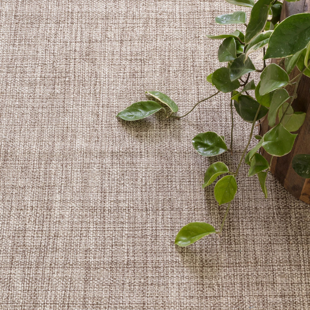Marled Handwoven Cotton Rug