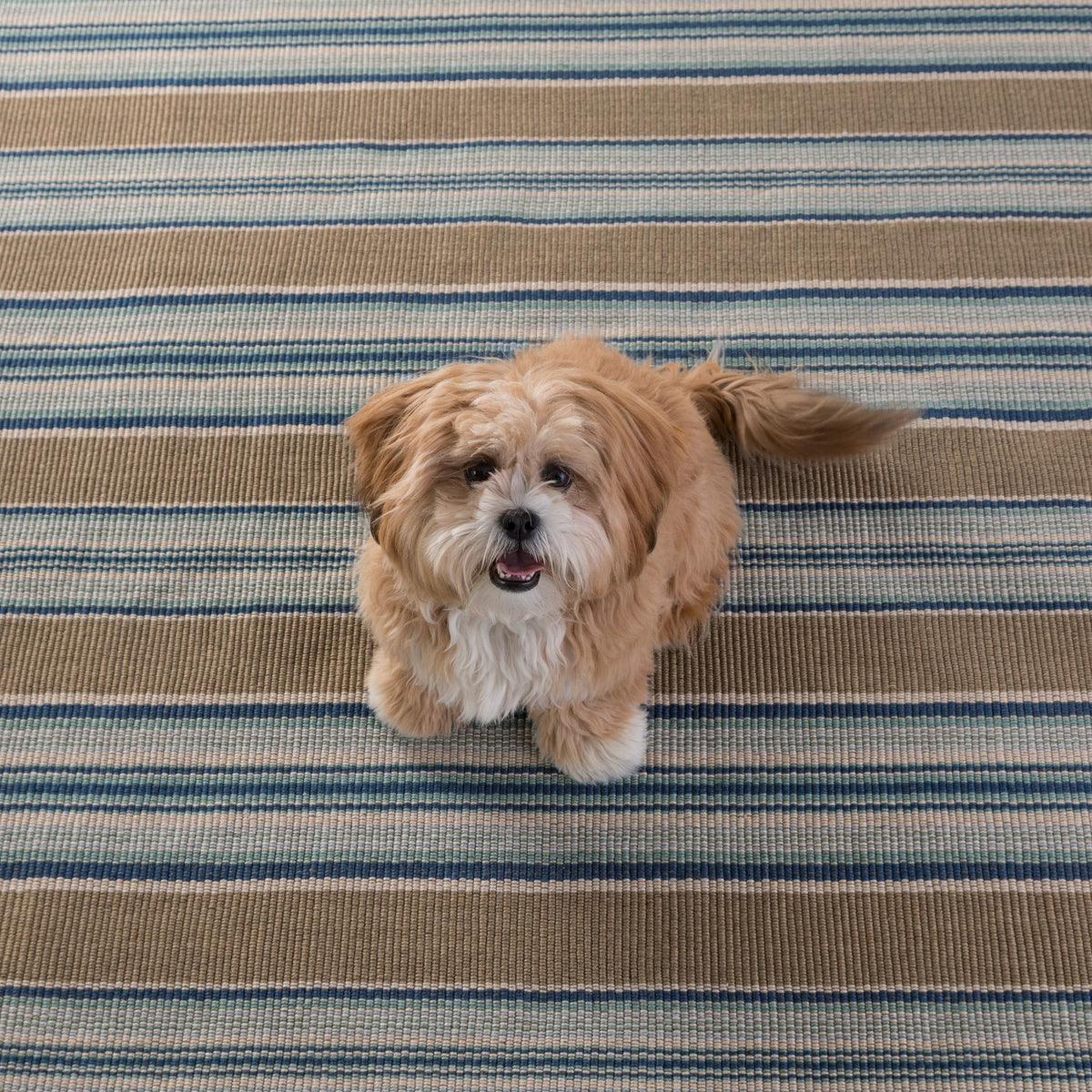 Heron Stripe Handwoven Indoor/Outdoor Rug