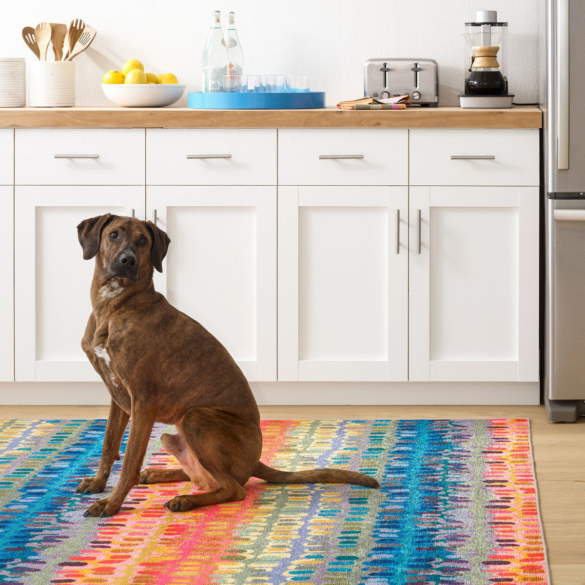 Paint Chip Machine Washable Rug