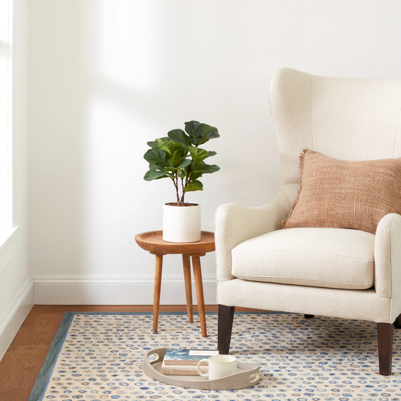 Cat's Paw Hand Micro Hooked Wool Rug