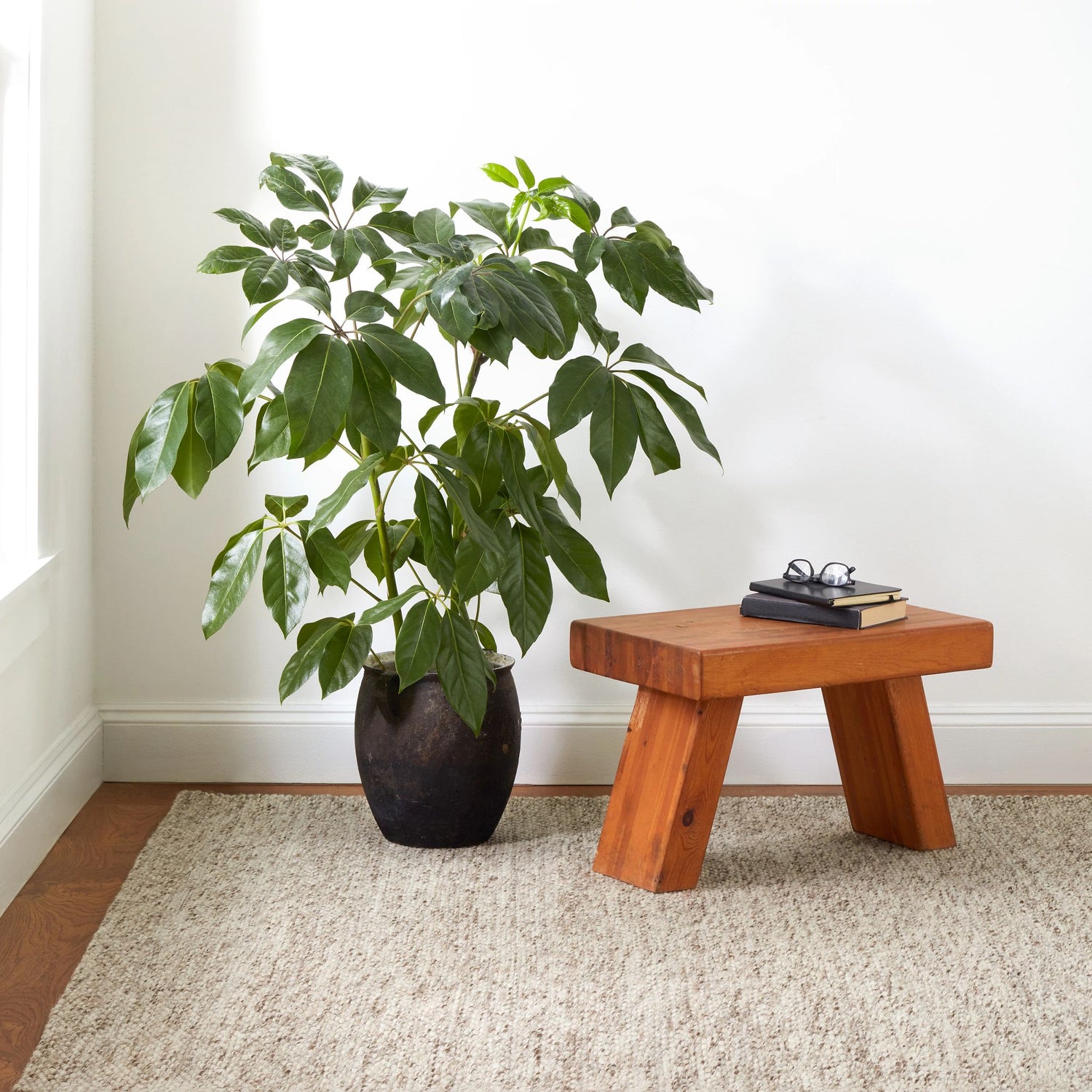 Loggia Handwoven Wool Rug