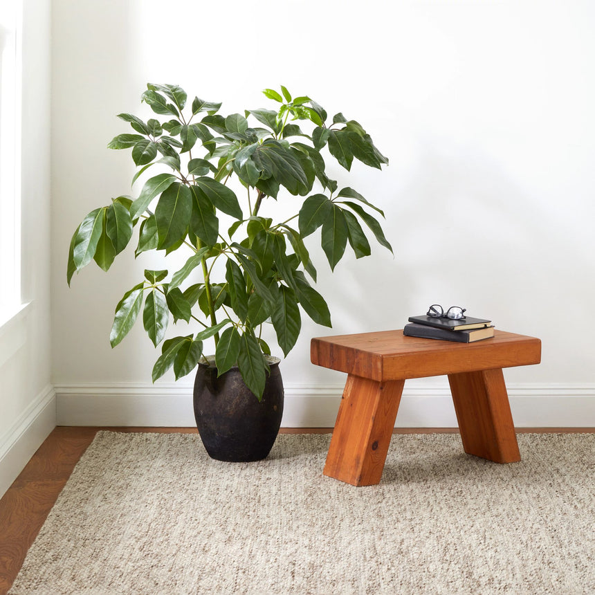 Loggia Handwoven Wool Rug