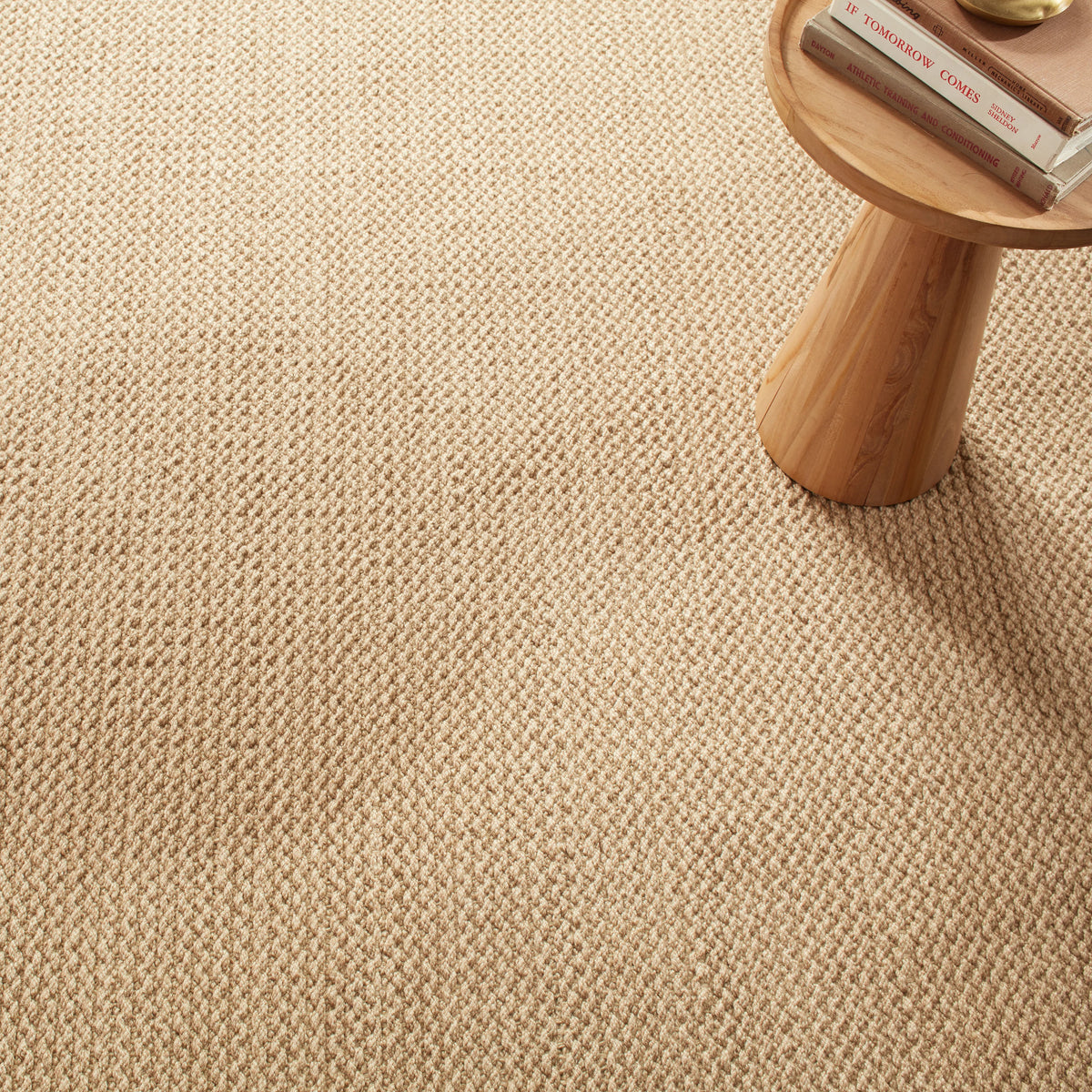 Donovan Handwoven Performance Rug