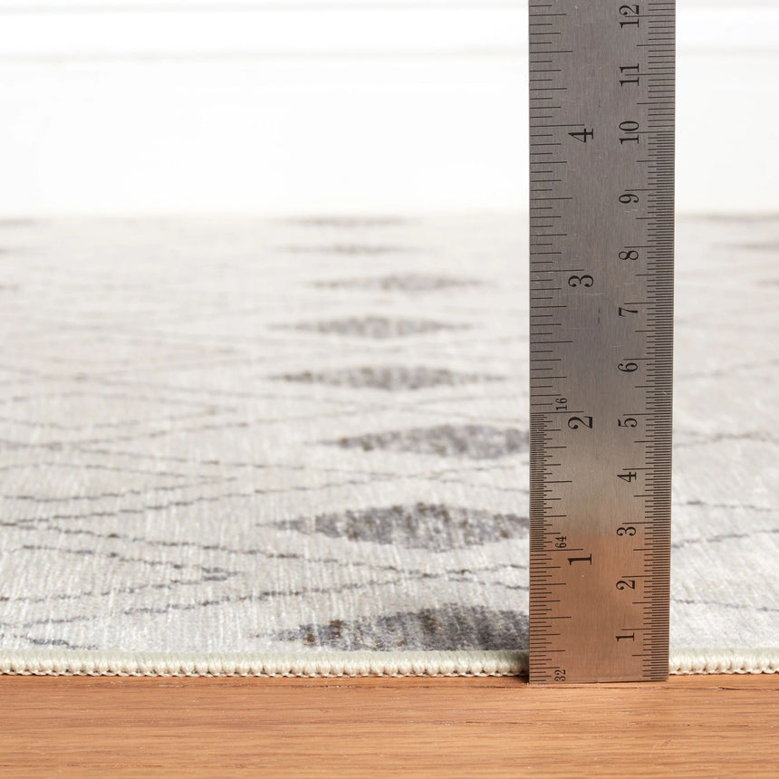 Chandler Machine Washable Rug