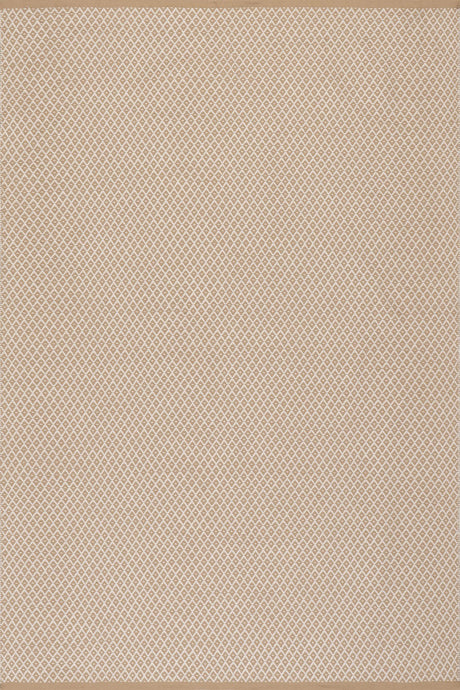 Riviera Handwoven Indoor/Outdoor Rug