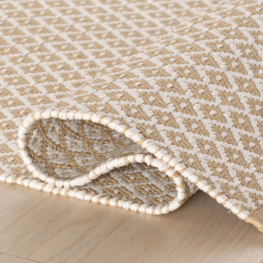 Riviera Handwoven Indoor/Outdoor Rug