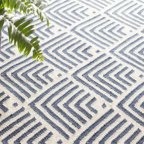 Cleo Handwoven Indoor/Outdoor Rug