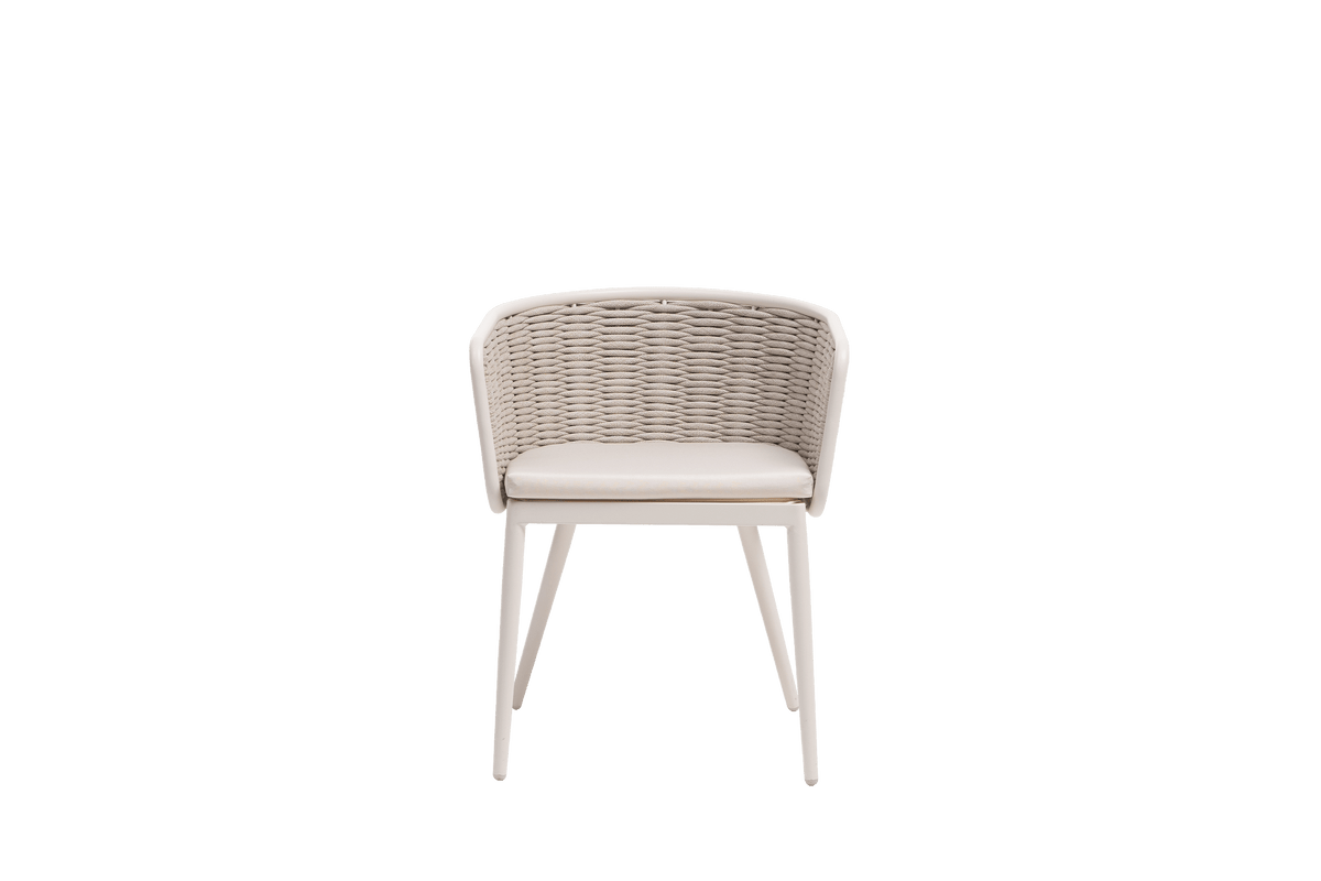 Diva Arm Chair