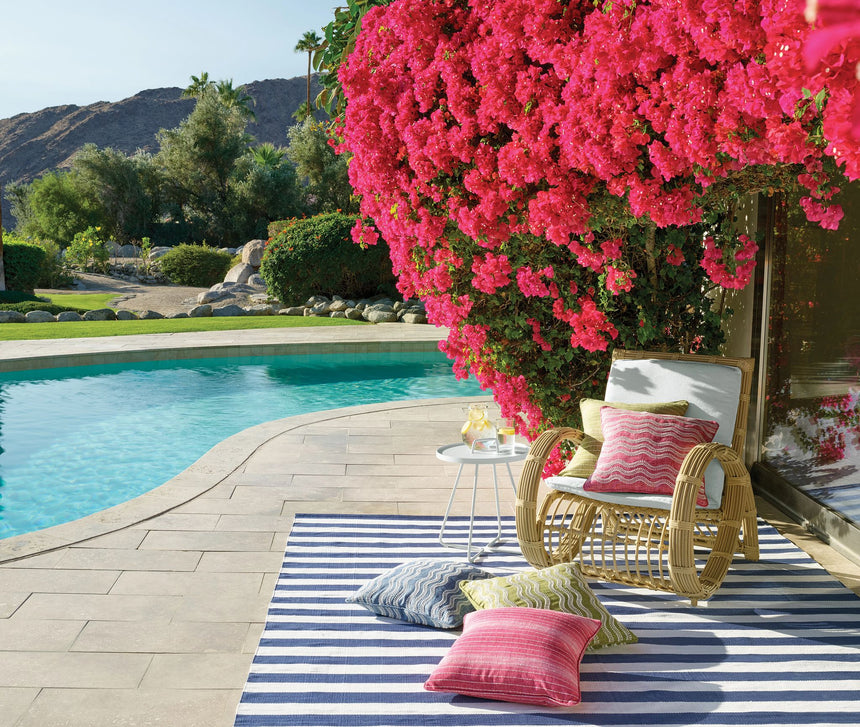 Catamaran Stripe Handwoven Indoor/Outdoor Rug