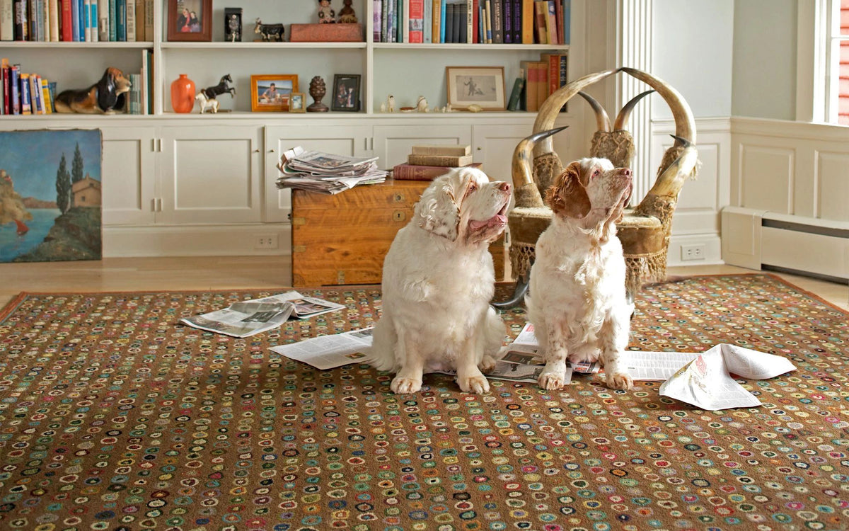 Cat's Paw Hand Micro Hooked Wool Rug