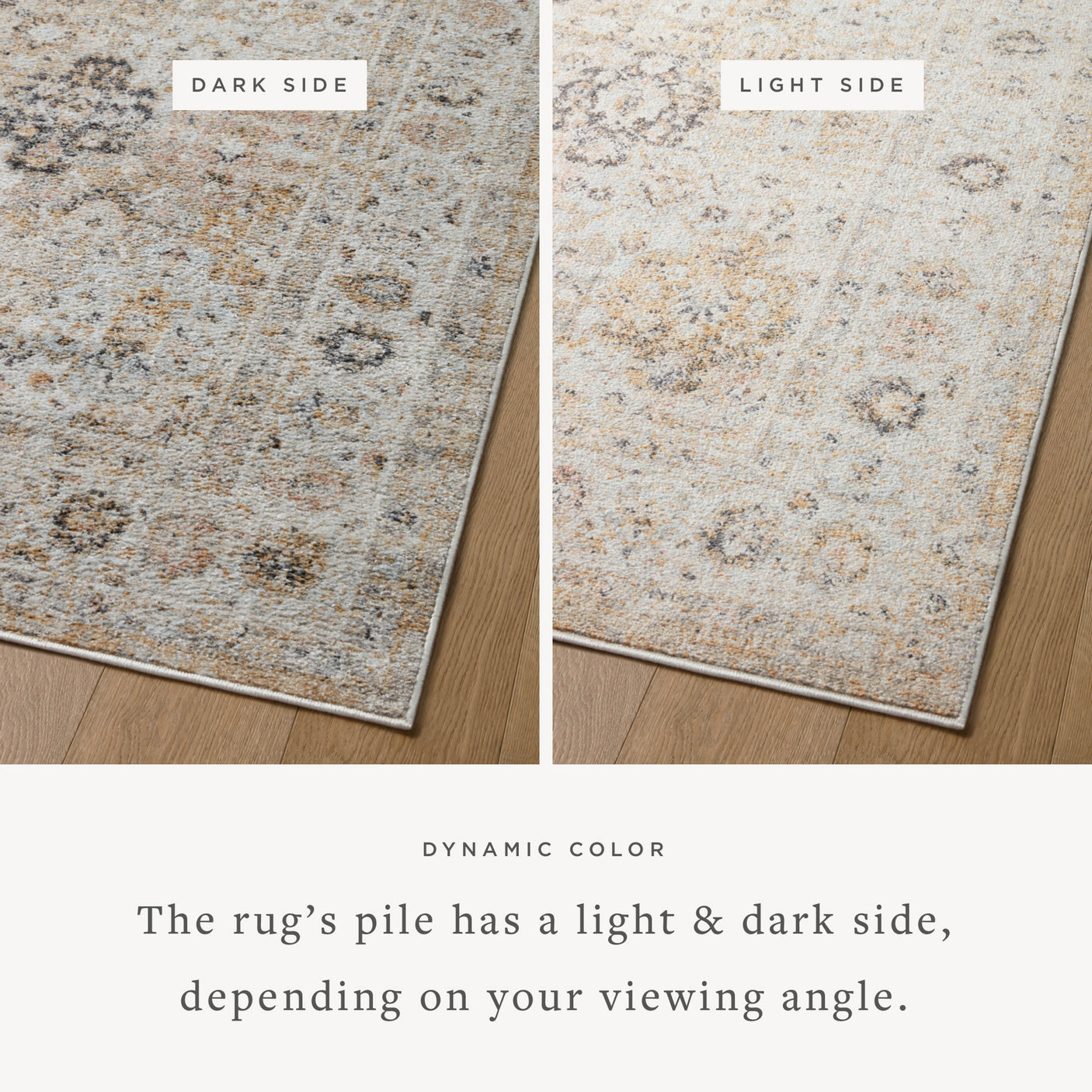 Monroe Rug 02