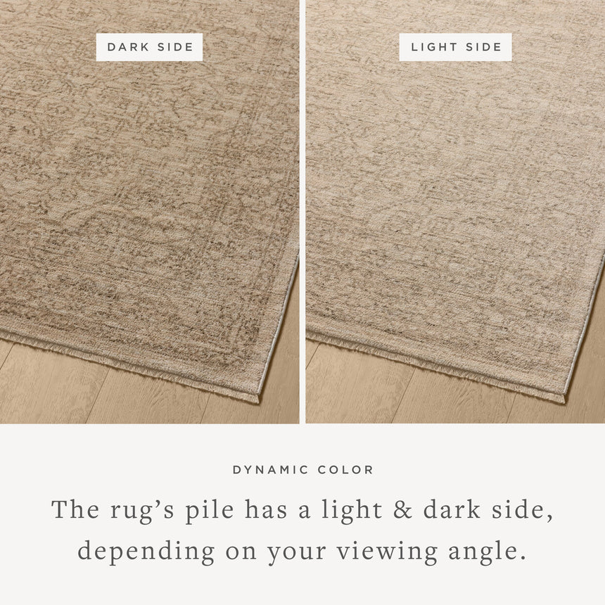 Newman Rug 01 | Taupe / Bone