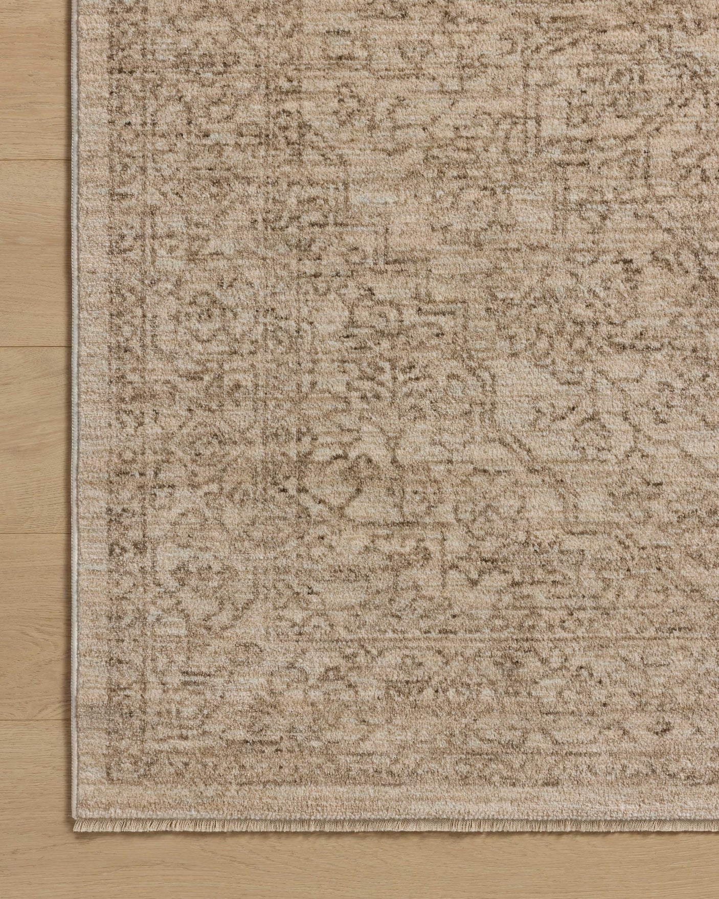 Newman Rug 01