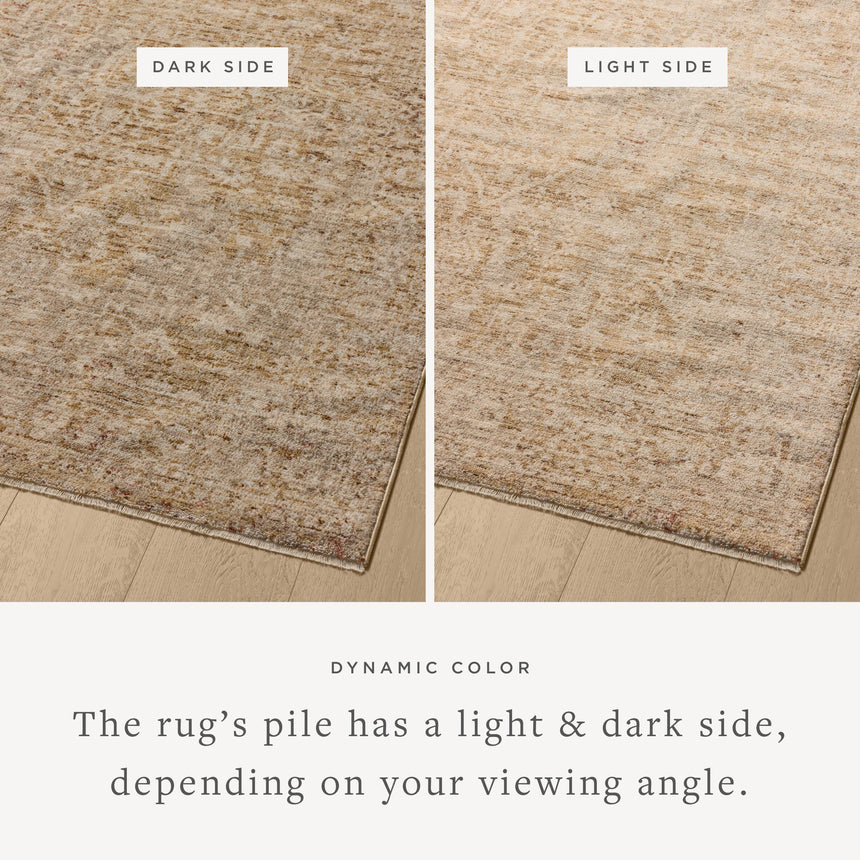 Newman Rug 02 | Wheat / Natural