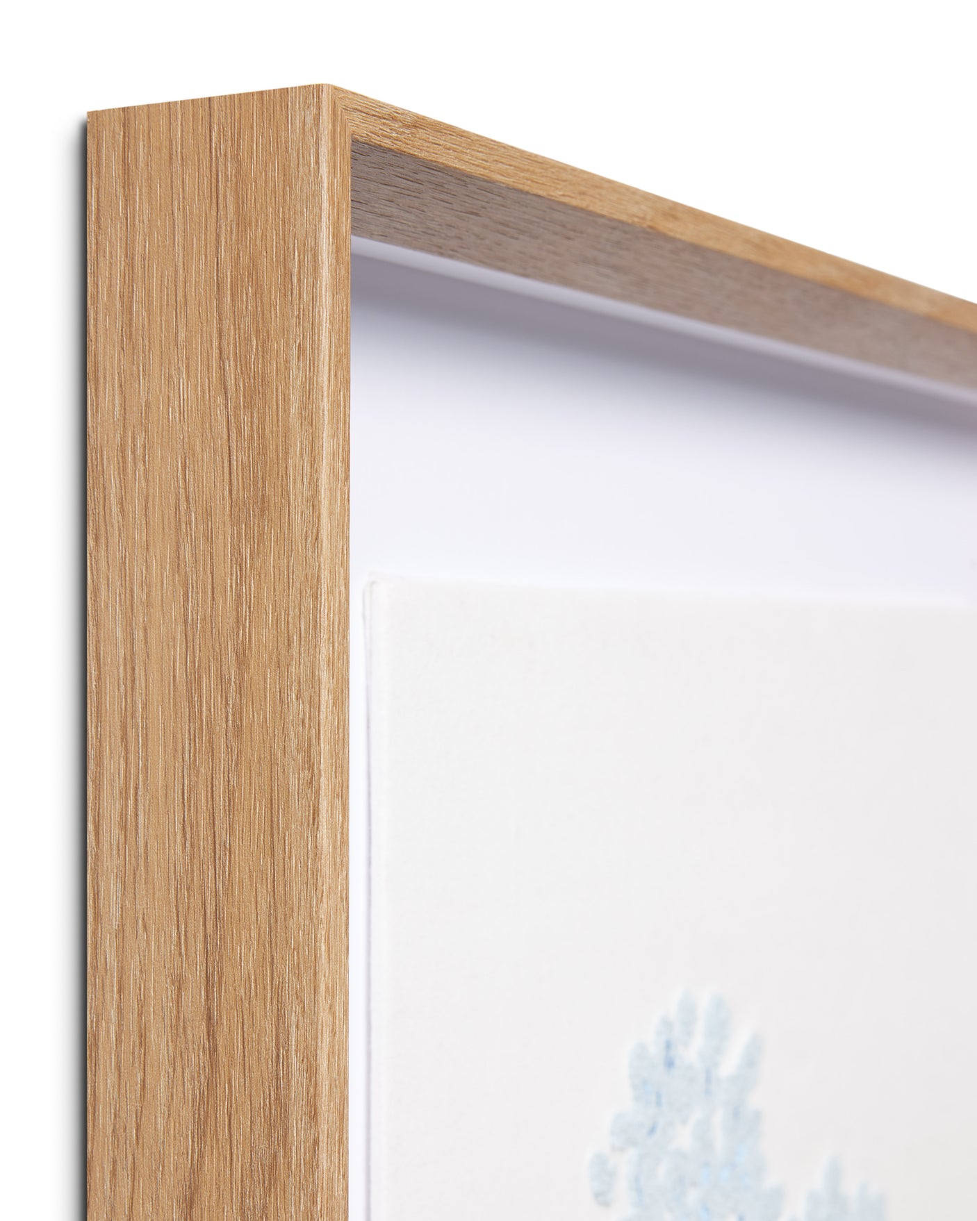 Hydrangea Cream Wall Art