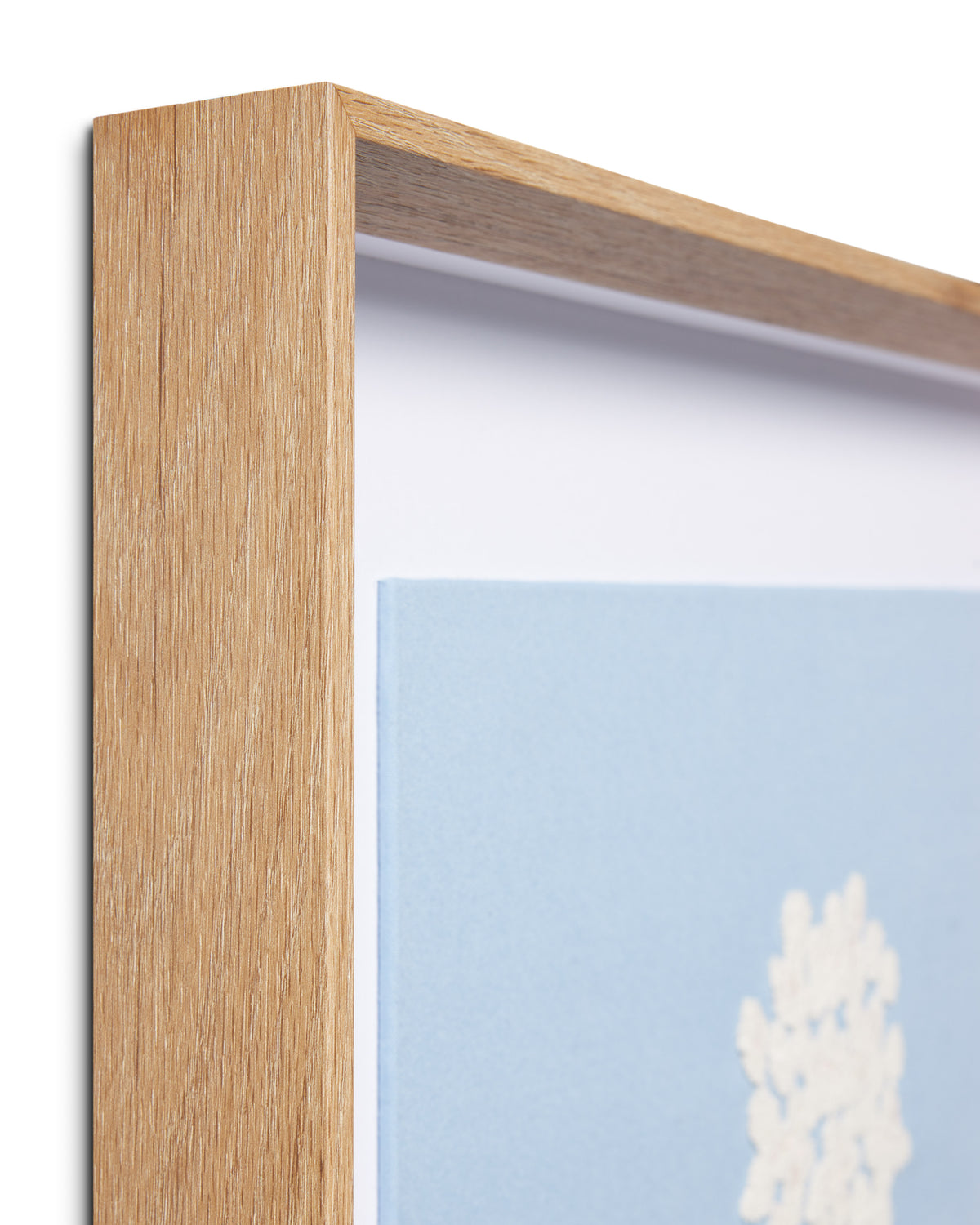 Hydrangea Blue Wall Art