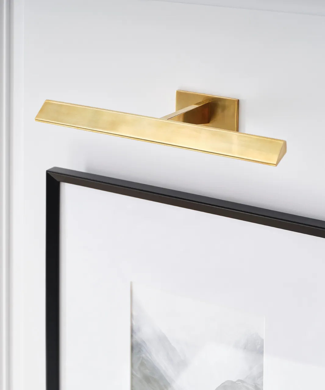 Petrel 18" Picture Light