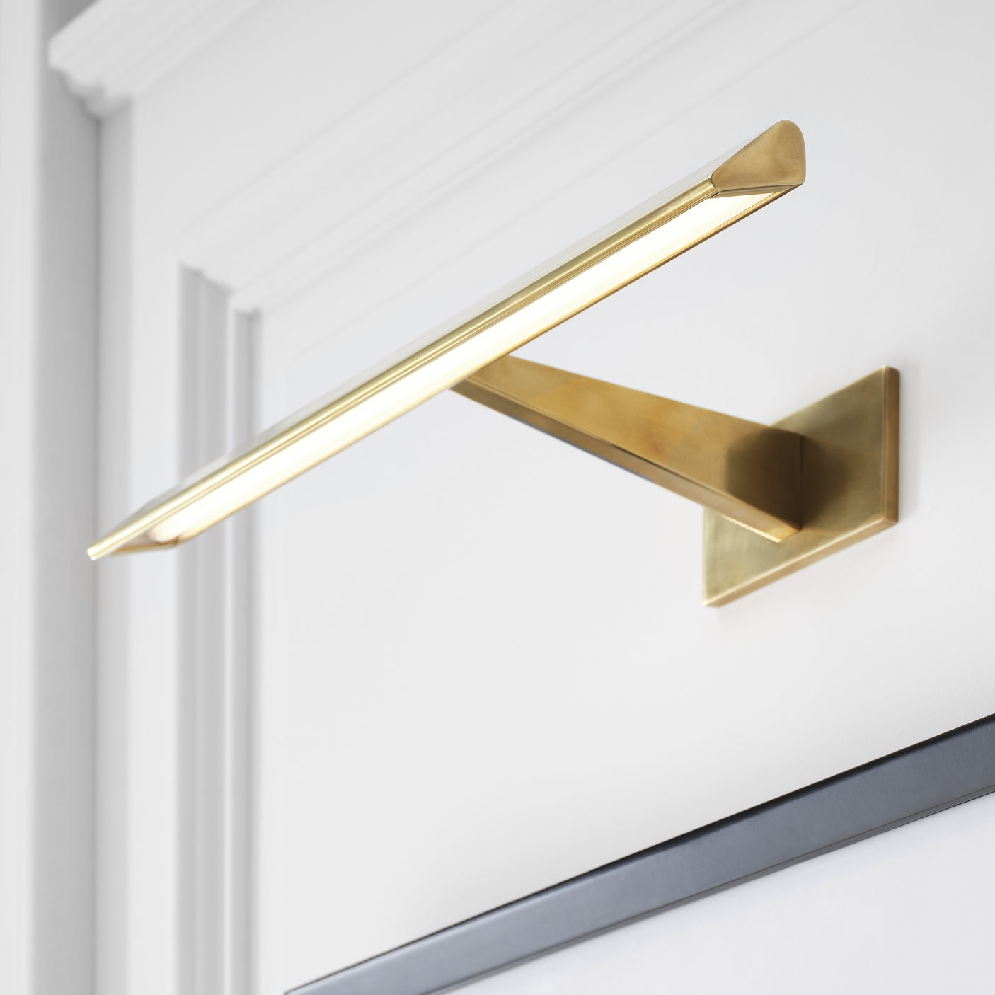 Petrel 18" Picture Light