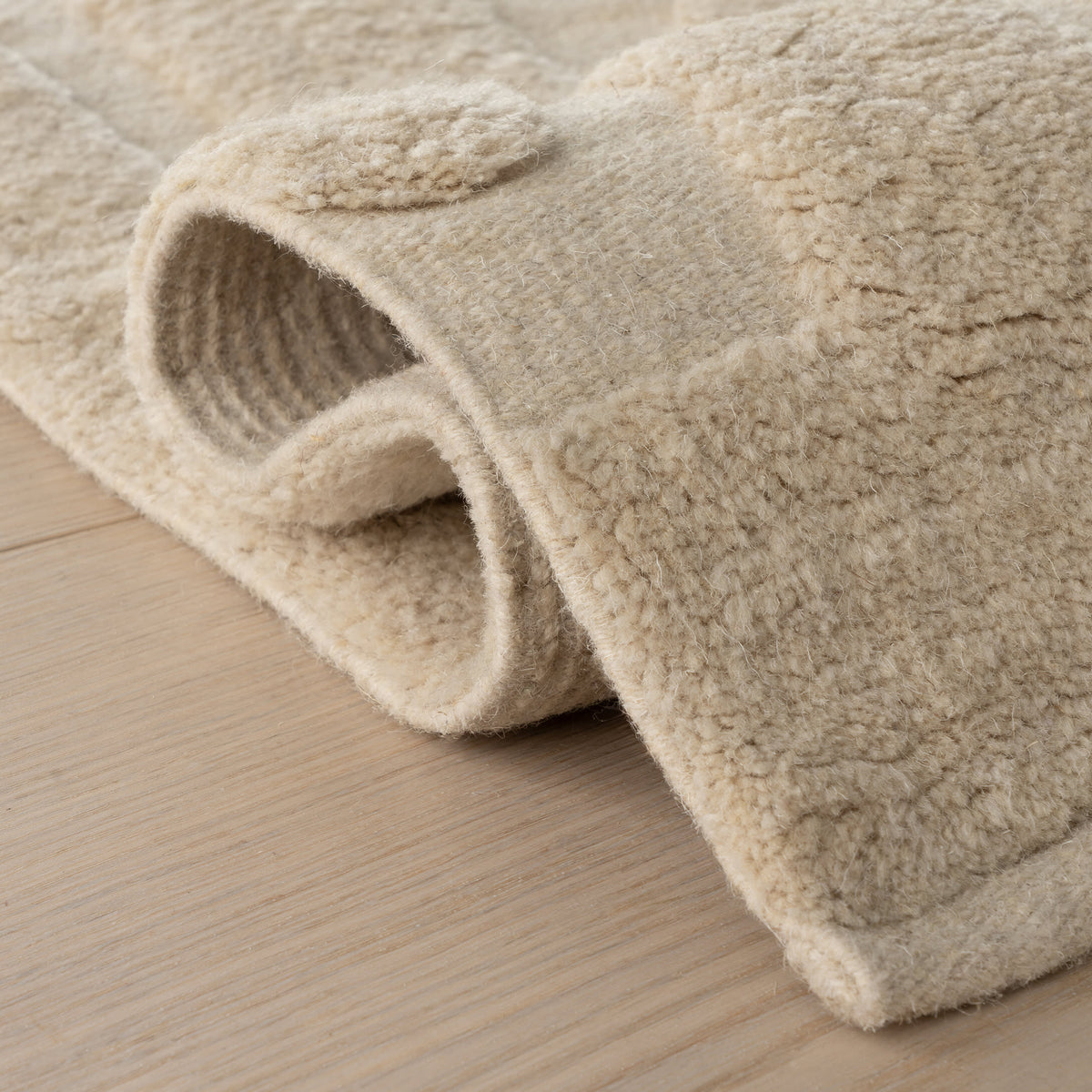 Dash & Albert Ais Abstract Bohemian Rug in Ivory, photo 7