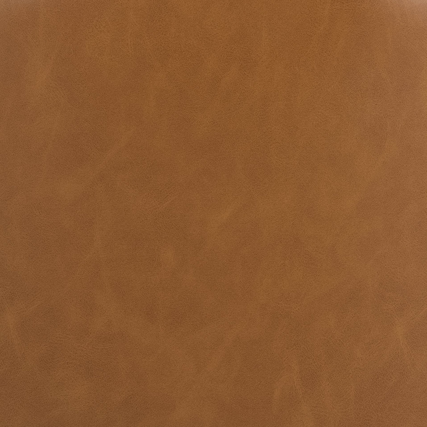 Astrud Bar + Counter Stool