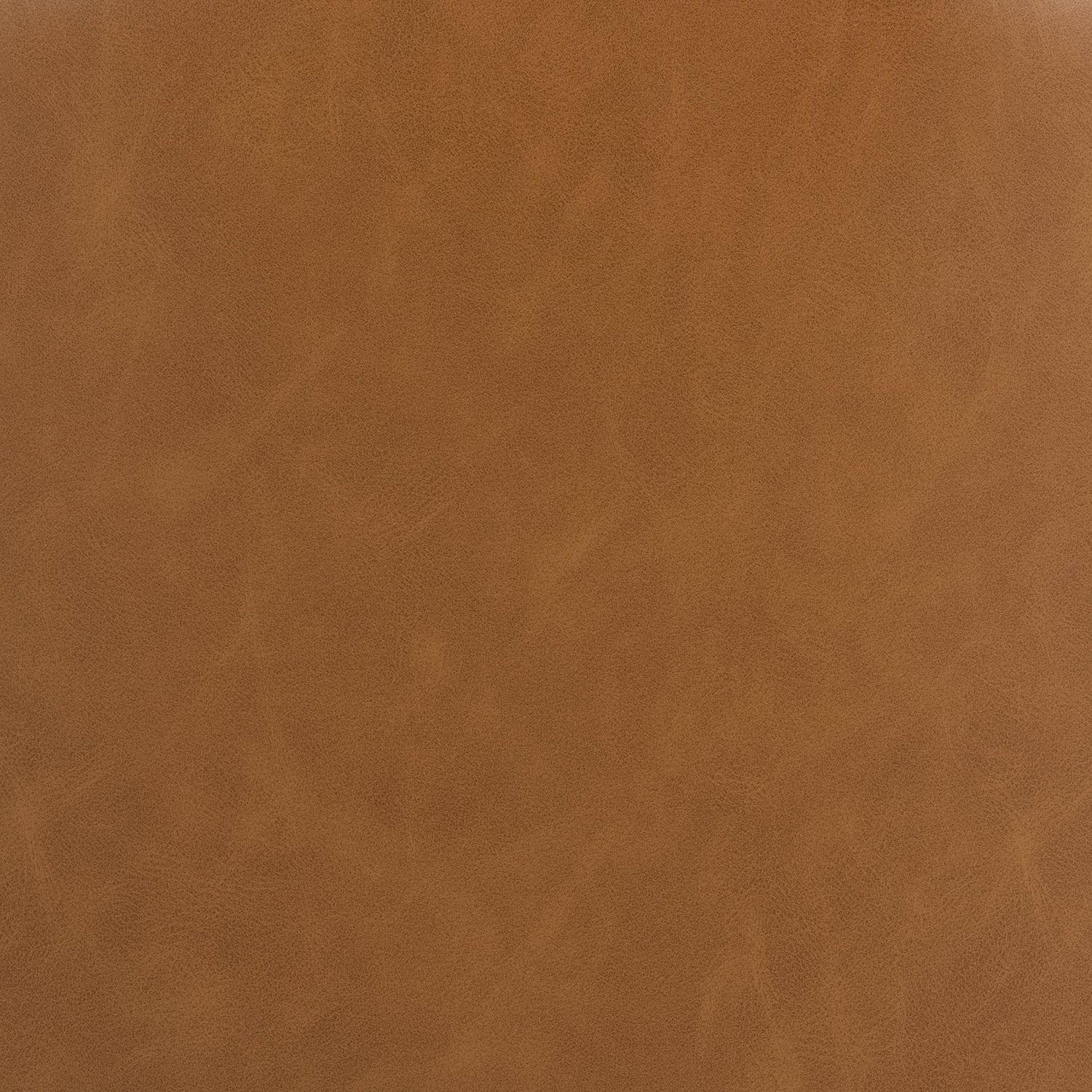 Astrud Bar + Counter Stool