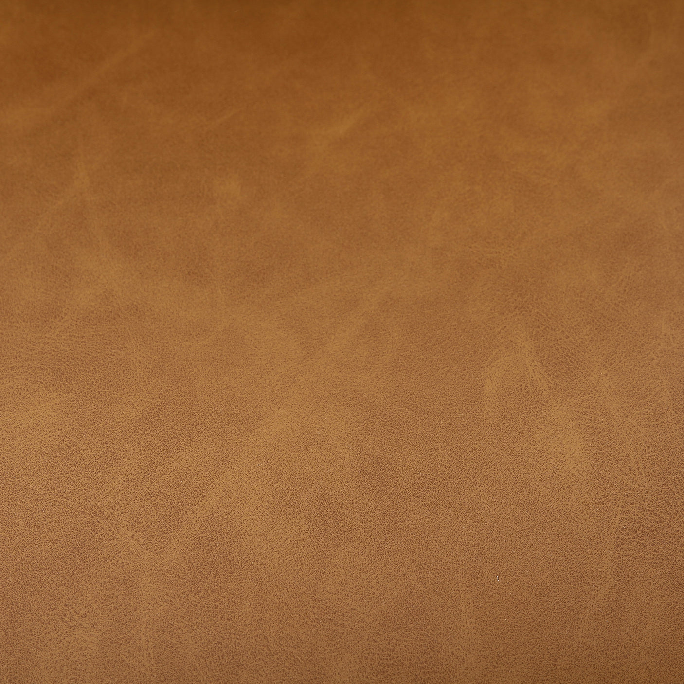 Astrud Bar + Counter Stool