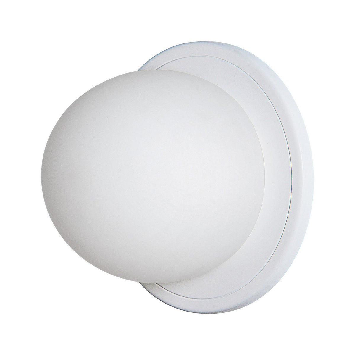 Raquel s LED Wall Sconce