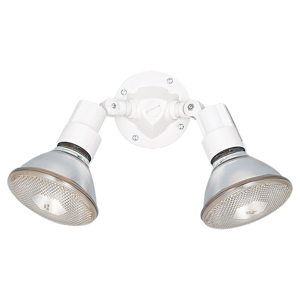 Two Light Flood Light